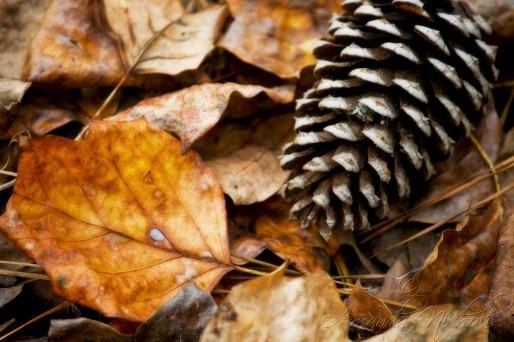 How to have hope through the waters &amp; fires of Life