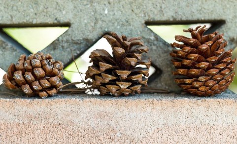 7484230184_3b650531ce_c