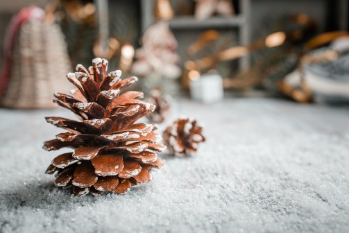 Bright christmas greeting card with pinecone