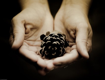 3588464326_67744344cb_z