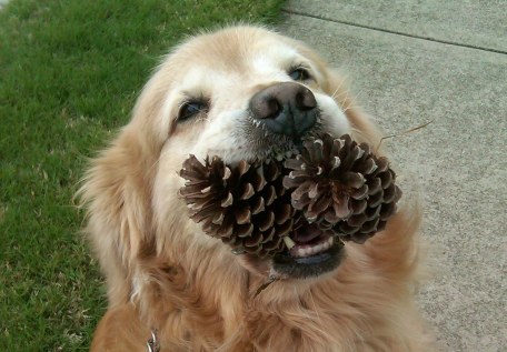 IMG00057-20110501-1827