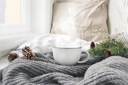 Cozy winter morning breakfast in bed still life scene. Steaming cup of hot coffee, tea standing near window. Christmas concept. Pillows, Pine cones and fir tree branch on wool plaid.