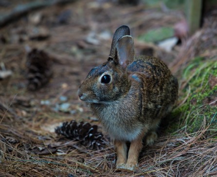 nathan-anderson-87169-unsplash